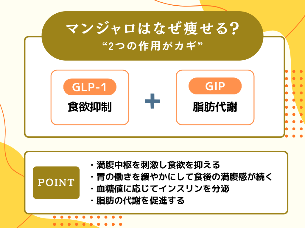 マンジャロはなぜ痩せる?